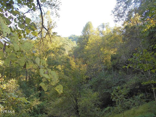 17532 Phillips Road, Bristol, VA 24202