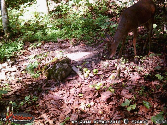 17532 Phillips Road, Bristol, VA 24202