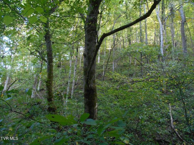 17532 Phillips Road, Bristol, VA 24202