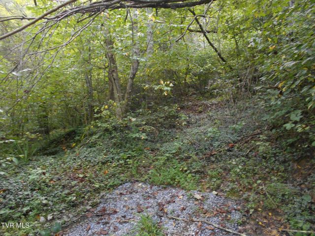 17532 Phillips Road, Bristol, VA 24202