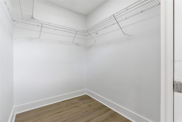 3916 IOWA AVENUE W, Tampa, FL 33616