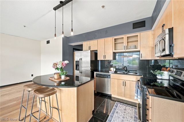 1237 Washington Avenue 402, Cleveland, OH 44113