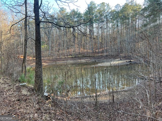 6566 Highway 5, Douglasville, GA 30135