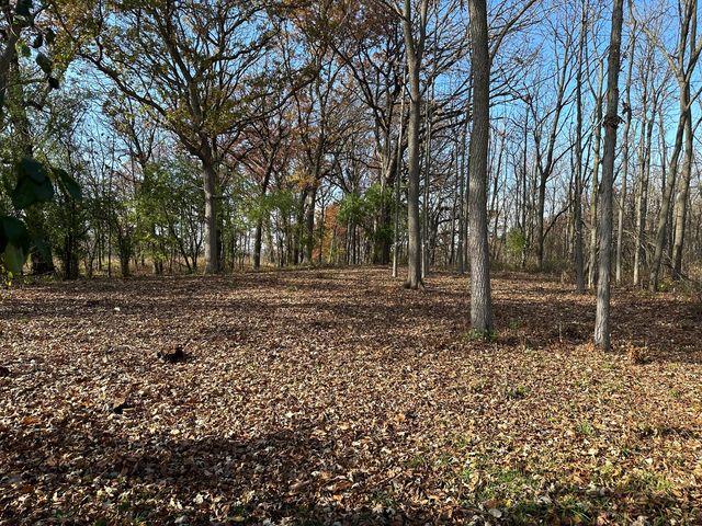 14942 W Concord Court, Wadsworth, IL 60083