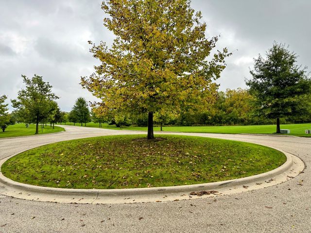 14942 W Concord Court, Wadsworth, IL 60083