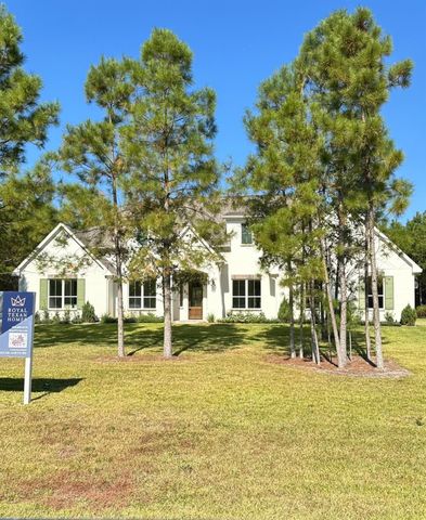11530 E Bramble Court, Willis, TX 77378
