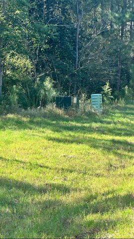 11530 E Bramble Court, Willis, TX 77378