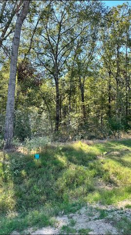 11530 E Bramble Court, Willis, TX 77378
