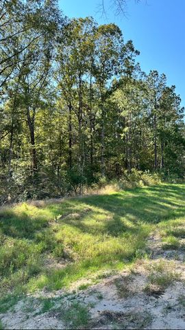 11530 E Bramble Court, Willis, TX 77378
