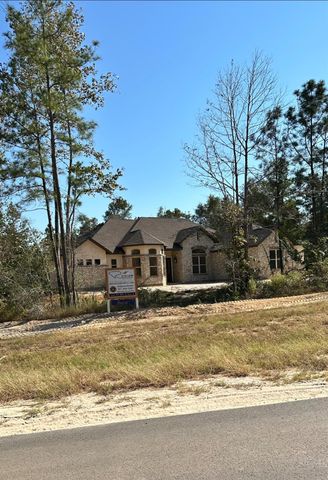 11530 E Bramble Court, Willis, TX 77378