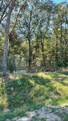 11530 E Bramble Court, Willis, TX 77378