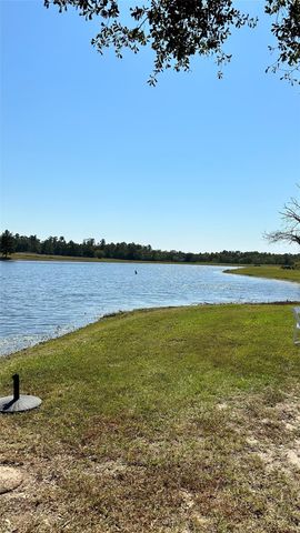 11530 E Bramble Court, Willis, TX 77378