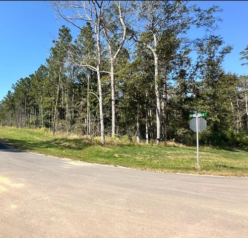 11530 E Bramble Court, Willis, TX 77378