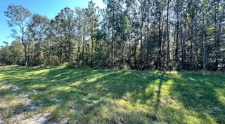 11530 E Bramble Court, Willis, TX 77378