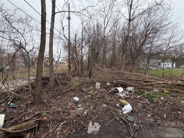 2540 W Forest Avenue, Detroit, MI 48208