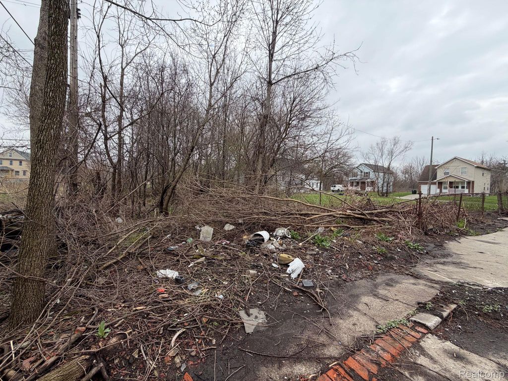 2540 W Forest Avenue, Detroit, MI 48208