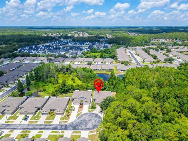 1143 WRIGHTSWYNDE COURT, Wesley Chapel, FL 33543