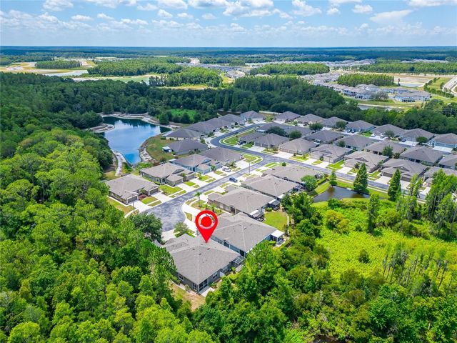 1143 WRIGHTSWYNDE COURT, Wesley Chapel, FL 33543