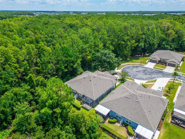 1143 WRIGHTSWYNDE COURT, Wesley Chapel, FL 33543