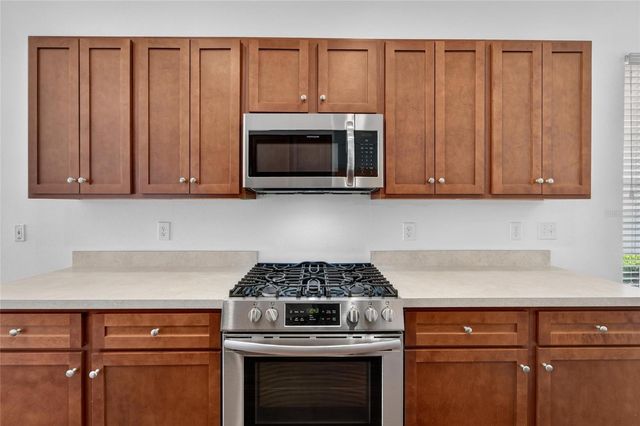 1143 WRIGHTSWYNDE COURT, Wesley Chapel, FL 33543