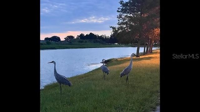 2694 SUNKISSED DRIVE, St Cloud, FL 34771