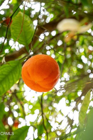 161 Harborview Court, Ventura, CA 93003