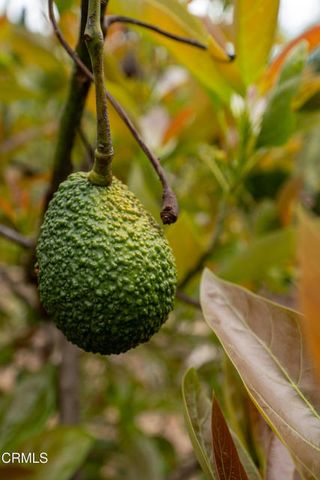 161 Harborview Court, Ventura, CA 93003