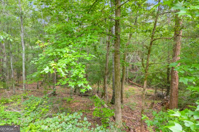 1655 Cleveland Road, Bogart, GA 30622