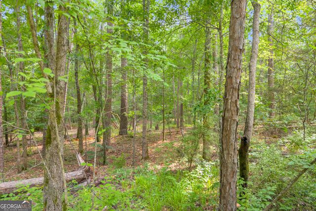 1655 Cleveland Road, Bogart, GA 30622