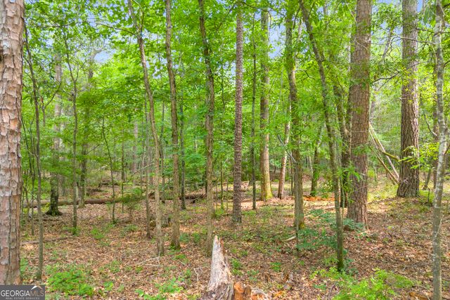1655 Cleveland Road, Bogart, GA 30622