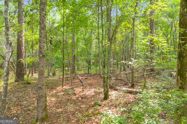 1655 Cleveland Road, Bogart, GA 30622