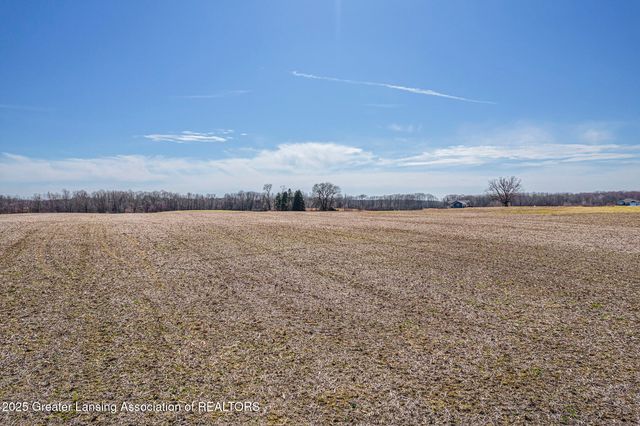 Lot 4 Dexter Trail, Dansville, MI 48819