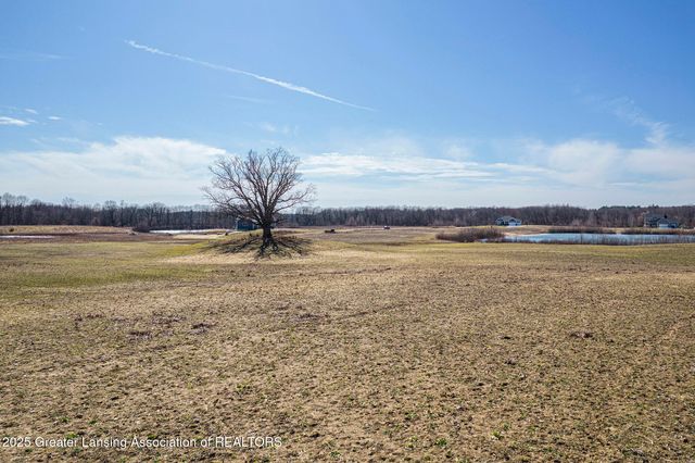 Lot 4 Dexter Trail, Dansville, MI 48819