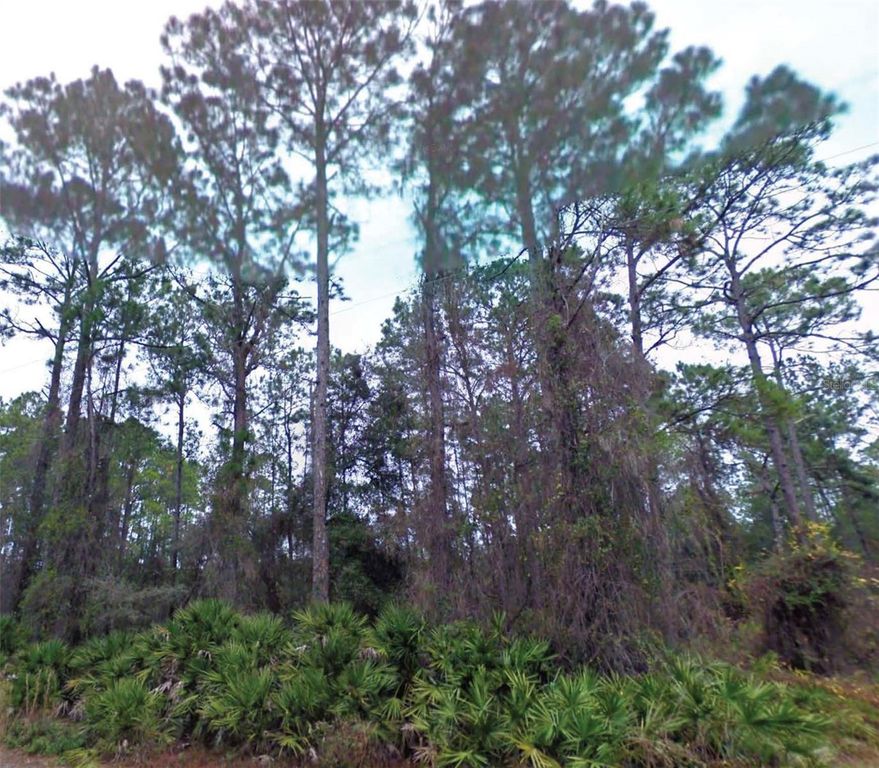 NE 66TH AVENUE, Citra, FL 32113