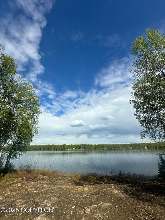 13505 N Willow Lake Drive, Willow, AK 99688