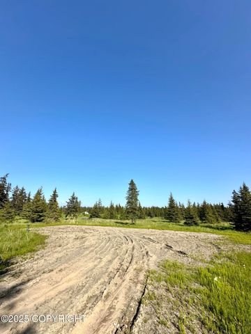 32800 Shorebird Lane, Anchor Point, AK 99556