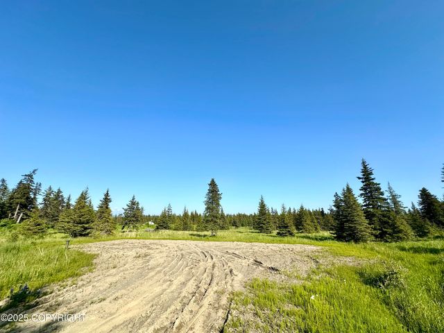 32800 Shorebird Lane, Anchor Point, AK 99556