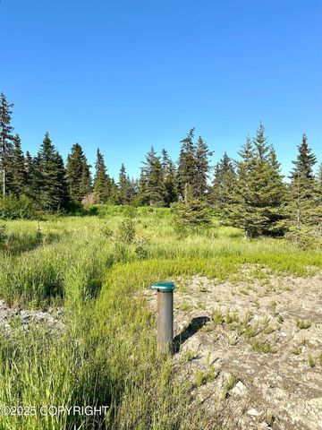 32800 Shorebird Lane, Anchor Point, AK 99556