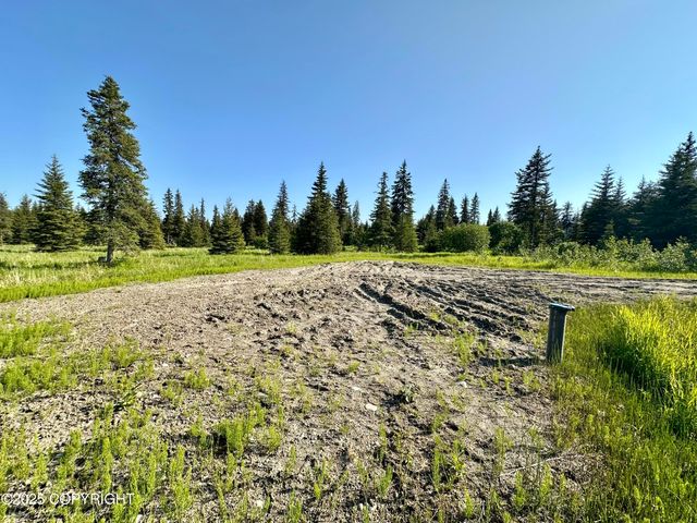 32800 Shorebird Lane, Anchor Point, AK 99556
