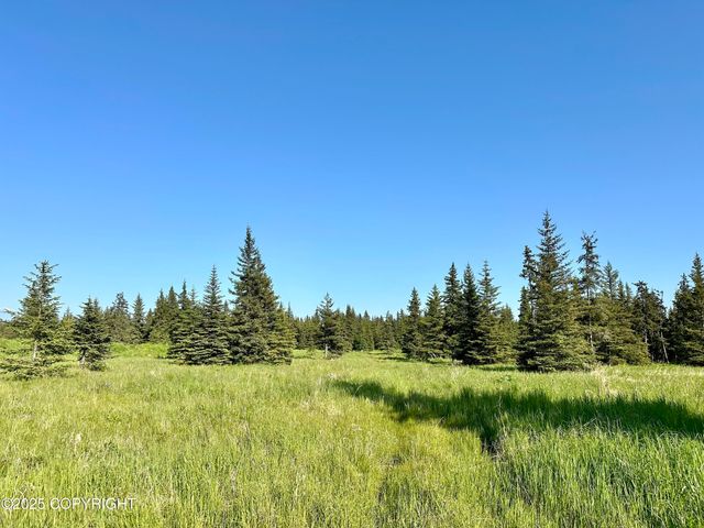 32800 Shorebird Lane, Anchor Point, AK 99556
