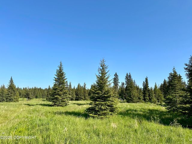 32800 Shorebird Lane, Anchor Point, AK 99556