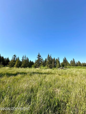32800 Shorebird Lane, Anchor Point, AK 99556