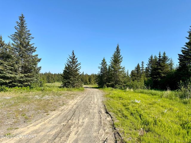 32800 Shorebird Lane, Anchor Point, AK 99556