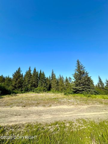 32800 Shorebird Lane, Anchor Point, AK 99556