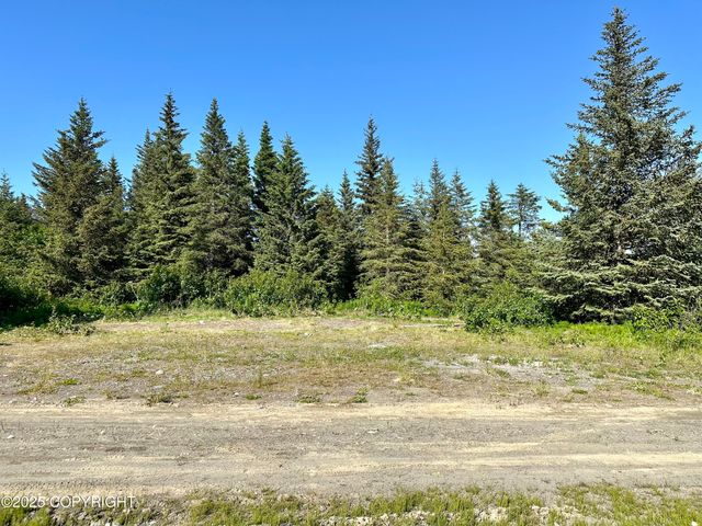 32800 Shorebird Lane, Anchor Point, AK 99556
