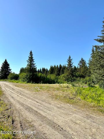 32800 Shorebird Lane, Anchor Point, AK 99556