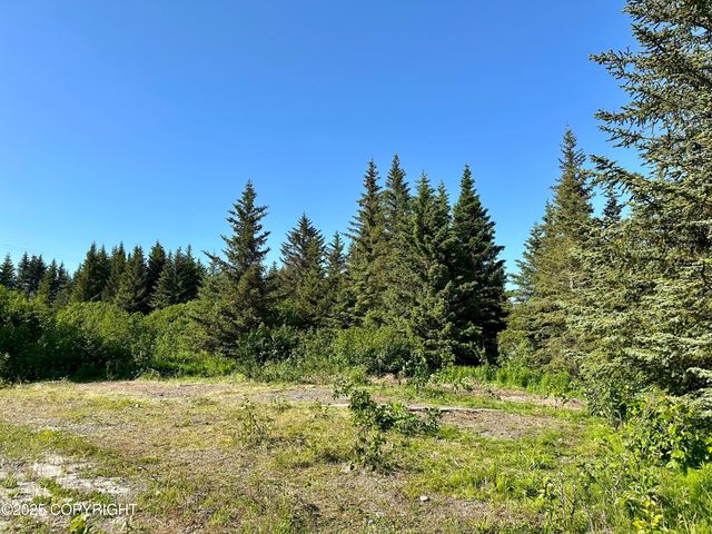32800 Shorebird Lane, Anchor Point, AK 99556