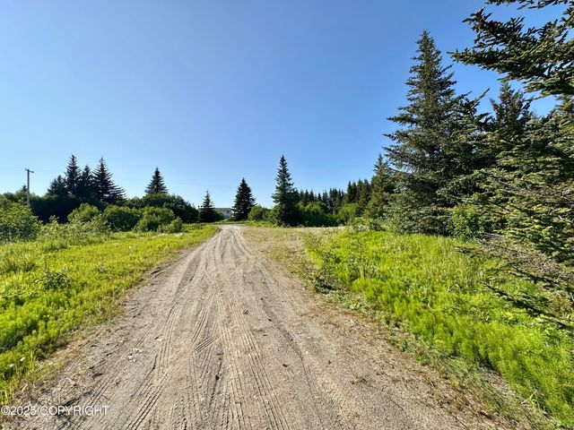 32800 Shorebird Lane, Anchor Point, AK 99556
