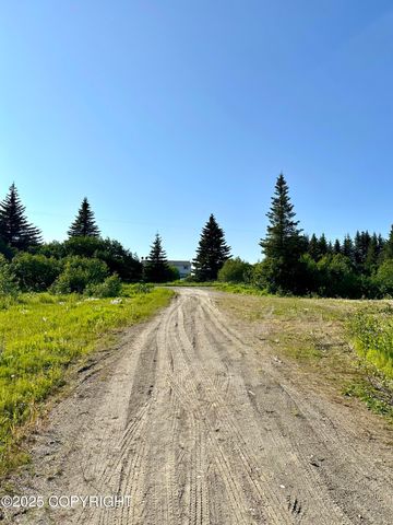 32800 Shorebird Lane, Anchor Point, AK 99556