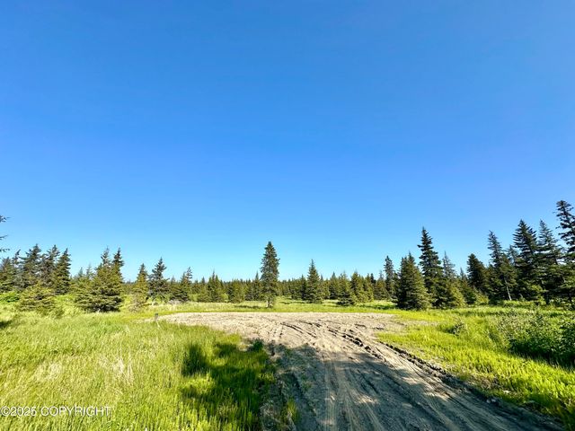 32800 Shorebird Lane, Anchor Point, AK 99556